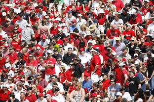 米兰平台-体育赛事观众行为特征与管理对策，观众对体育赛事的意义