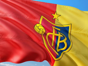 AC Milan官方APP下载-法甲升班马快速适应顶级联赛经验分享,2021西甲升班马是哪几支球队