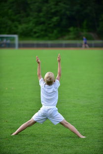 米兰体育官方网站APP下载-高校运动训练动态管理机制探索,运动训练过程调控与参赛指导